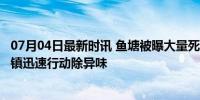 07月04日最新时讯 鱼塘被曝大量死鱼有异味 已清理 大孟庄镇迅速行动除异味