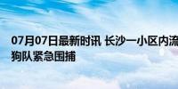 07月07日最新时讯 长沙一小区内流浪狗攻击多人 警方与捕狗队紧急围捕