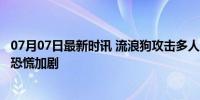 07月07日最新时讯 流浪狗攻击多人 民警展开抓捕 小区居民恐慌加剧