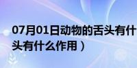 07月01日动物的舌头有什么本领（动物的舌头有什么作用）