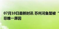 07月10日最新时讯 苏州河鱼蟹被“煮熟”？回应来了 高温非唯一原因