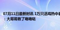 07月11日最新时讯 1万只活鸡热中暑消防架水枪冲凉，网友：大哥哥救了咯咯哒