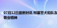 07月12日最新时讯 柯基警犬和队友的训练日常 萌态背后的敬业精神