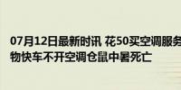 07月12日最新时讯 花50买空调服务宠物被放后备厢热死 宠物快车不开空调仓鼠中暑死亡