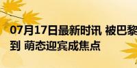 07月17日最新时讯 被巴黎奥运村的熊猫可爱到 萌态迎宾成焦点