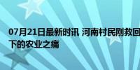 07月21日最新时讯 河南村民刚救回的庄稼又淹了 自然灾难下的农业之痛