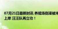 07月21日最新时讯 养殖场倒灌被淹，狗狗将被淹的鸡鸭救上岸 汪汪队再立功！