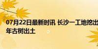 07月22日最新时讯 长沙一工地挖出古墓？社区辟谣 实为千年古树出土