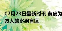 07月23日最新时讯 黄皮为何如此受欢迎？北方人的水果盲区