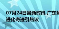 07月24日最新时讯 广东蟑螂已经会发光了 进化奇迹引热议