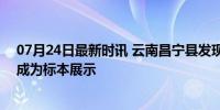 07月24日最新时讯 云南昌宁县发现直径近1米巨型口蘑 将成为标本展示