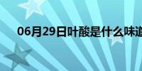 06月29日叶酸是什么味道(叶酸是什么)