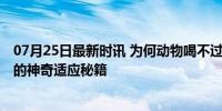 07月25日最新时讯 为何动物喝不过滤的生水也没事 自然界的神奇适应秘籍