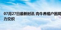 07月27日最新时讯 肉牛养殖户困局待解 养殖亏本与贷款压力交织