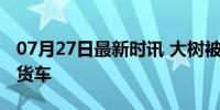 07月27日最新时讯 大树被台风连根拔起砸倒货车