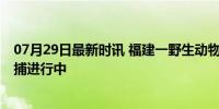 07月29日最新时讯 福建一野生动物保护园蟒蛇出逃 紧急搜捕进行中