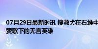 07月29日最新时讯 搜救犬在石堆中拼命犬吠找被困者 生命赞歌下的无言英雄