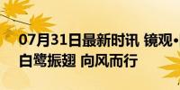 07月31日最新时讯 镜观·回响｜厦航40年：白鹭振翅 向风而行