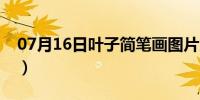 07月16日叶子简笔画图片大全（叶子简笔画）