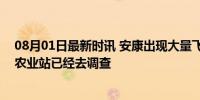 08月01日最新时讯 安康出现大量飞虫包围居民楼 镇政府：农业站已经去调查