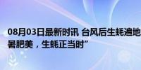 08月03日最新时讯 台风后生蚝遍地 福州市民组团赶海 “大暑肥美，生蚝正当时”