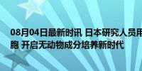 08月04日最新时讯 日本研究人员用木质材料培养人类干细胞 开启无动物成分培养新时代