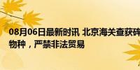 08月06日最新时讯 北京海关查获砗磲围棋子一罐 保护濒危物种，严禁非法贸易