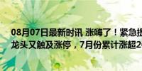 08月07日最新时讯 涨嗨了！紧急提示风险后，200亿市值龙头又触及涨停，7月份累计涨超260%