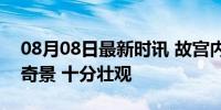 08月08日最新时讯 故宫内再现“千龙吐水”奇景 十分壮观