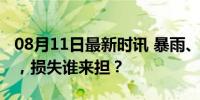 08月11日最新时讯 暴雨、洪水造成房屋损坏，损失谁来担？