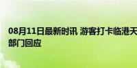 08月11日最新时讯 游客打卡临港天空之镜致拥堵 属地主管部门回应