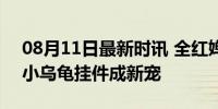 08月11日最新时讯 全红婵同款卖爆了 亚运小乌龟挂件成新宠