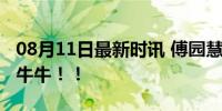 08月11日最新时讯 傅园慧为潘展乐打call 牛牛牛！！