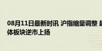 08月11日最新时讯 沪指缩量调整 超2800只个股下跌 半导体板块逆市上扬