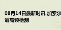 08月14日最新时讯 加索尔谈中国游泳运动员遭高频检测