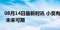 08月14日最新时讯 小莫有点实力打败王楚钦 未来可期