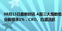 08月15日最新时讯 A股三大指数低开高走 午盘集体收红 创业板领涨1%，CXO、白酒活跃