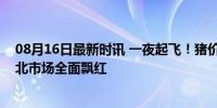 08月16日最新时讯 一夜起飞！猪价涨得“一塌糊涂”，南北市场全面飘红