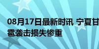 08月17日最新时讯 宁夏甘肃硒砂产区遭受冰雹袭击损失惨重