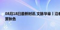 08月18日最新时讯 文脉华章丨沿着总书记的“文化足迹”赏秋色