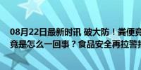 08月22日最新时讯 破大防！粪便竟然侵染五成雪糕？这究竟是怎么一回事？食品安全再拉警报