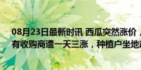 08月23日最新时讯 西瓜突然涨价，零售商：涨得太离谱！有收购商遭一天三涨，种植户坐地起价