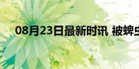 08月23日最新时讯 被蜱虫咬伤怎么办？