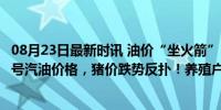 08月23日最新时讯 油价“坐火箭”！8月13日调价后92/95号汽油价格，猪价跌势反扑！养殖户谨慎应对