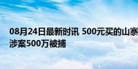 08月24日最新时讯 500元买的山寨始祖鸟成本仅百元 团伙涉案500万被捕