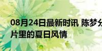 08月24日最新时讯 陈梦分享海边美照 明信片里的夏日风情