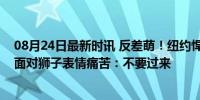 08月24日最新时讯 反差萌！纽约悍将惬意遛狮子，恩比德面对狮子表情痛苦：不要过来