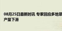 08月25日最新时讯 专家回应多地菜价持续走高 气候因素致产量下滑