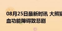 08月25日最新时讯 大熊猫“福茹”离世 凝血功能障碍致悲剧