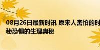 08月26日最新时讯 原来人害怕的时候头发真的会竖起来 揭秘恐惧的生理奥秘